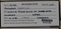 Image Associated With the Occurence